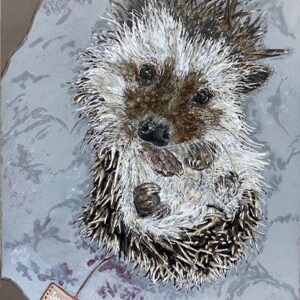Hedgehog – ‘Soft Centred’ Limited Edition prints and canvas (Various sizes)