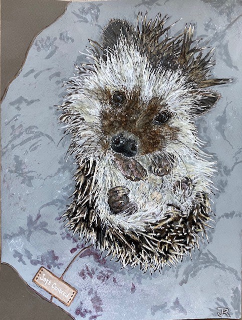 Hedgehog – ‘Soft Centred’ Limited Edition prints and canvas (Various sizes)