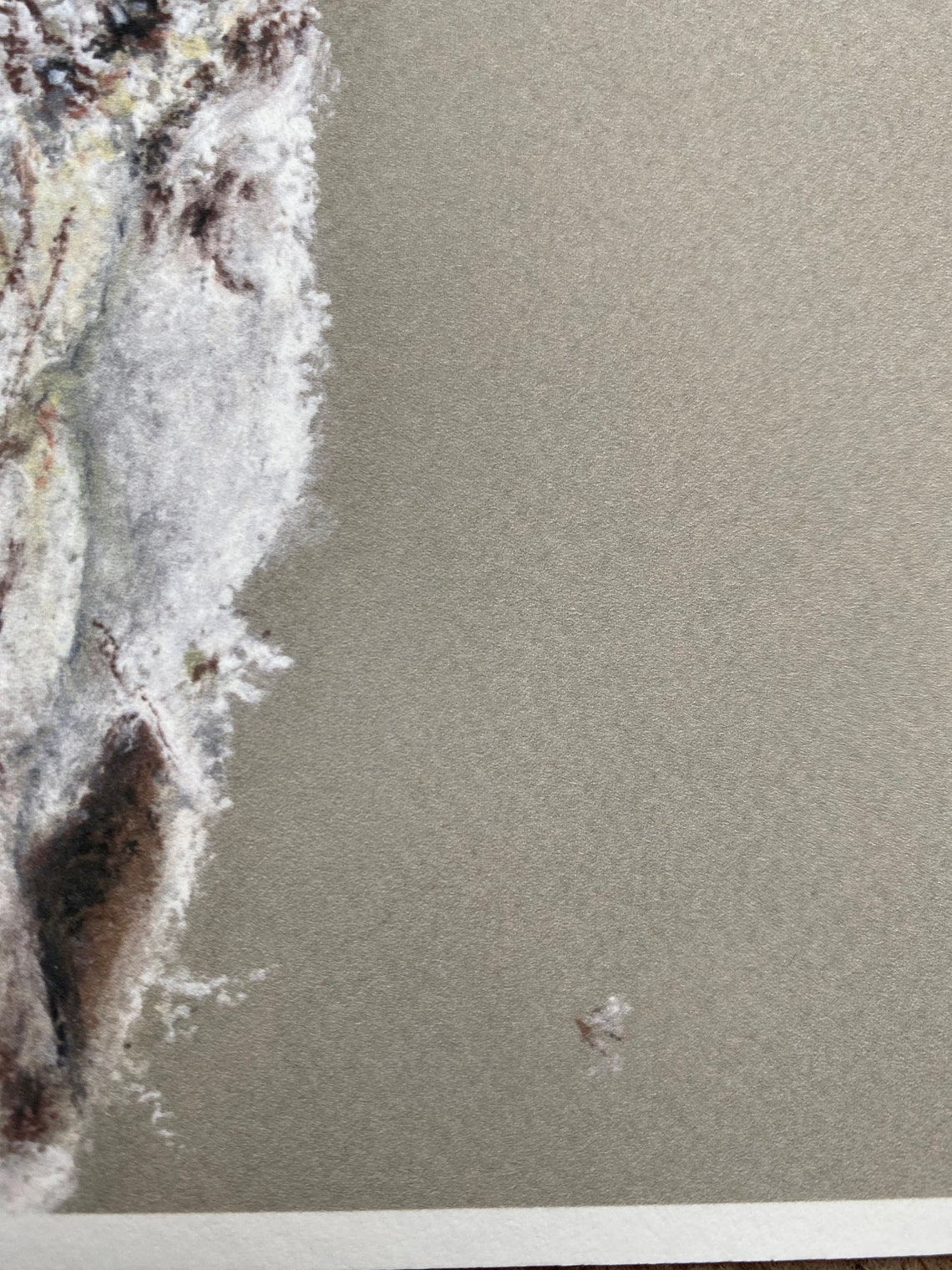 ‘Searching’ – Tawny Owl Print Limited Edition - Image 5