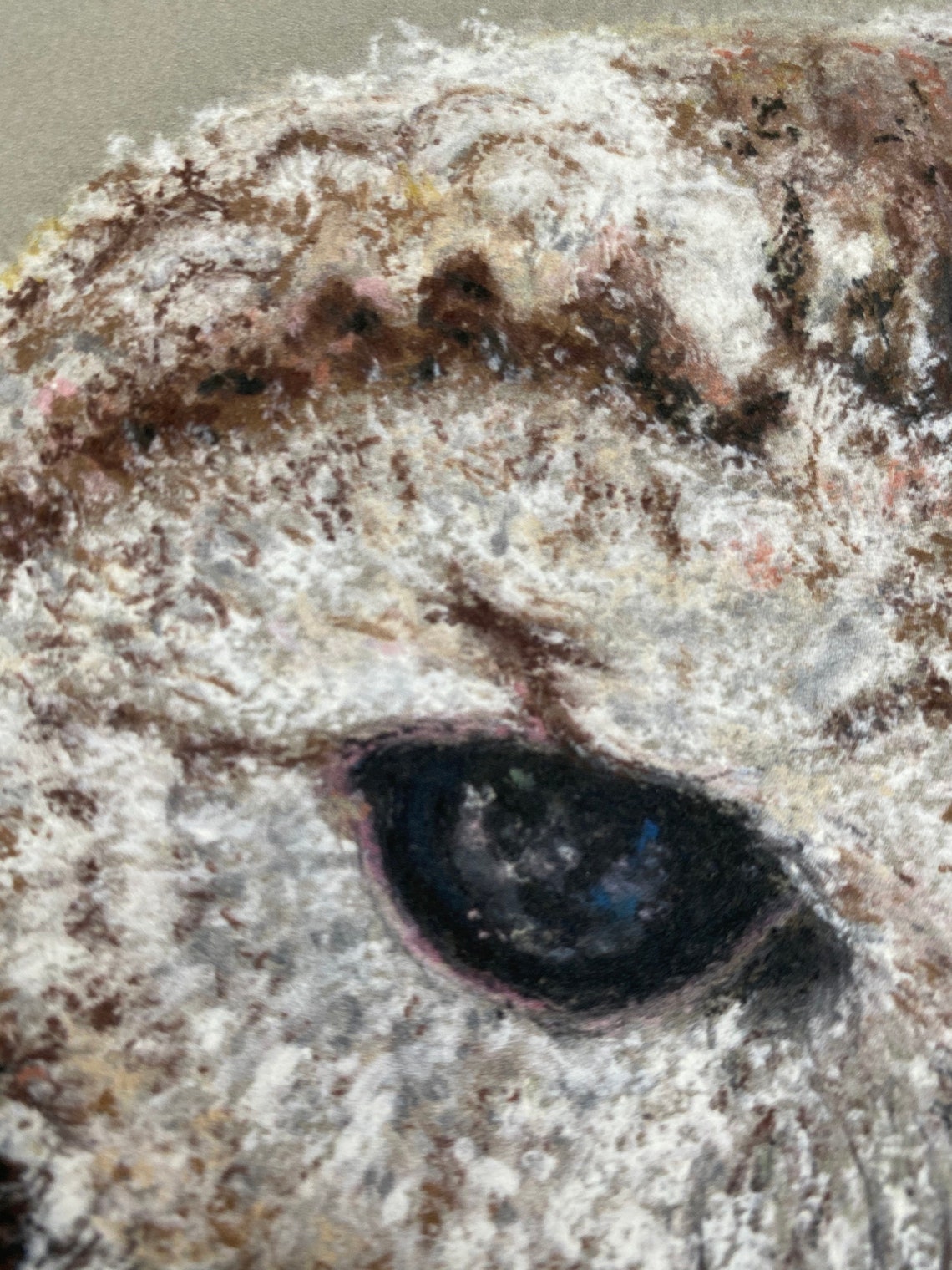 ‘Searching’ – Tawny Owl Print Limited Edition - Image 4