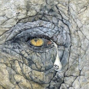 ‘Find Wisdom, Forgive Never Forget’ – Elephant Print Limited Edition.