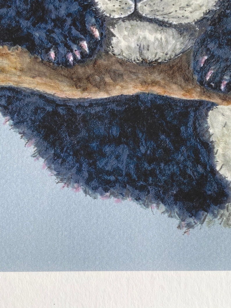 ‘Panda, Handle with Care’ – Giant Panda Print Limited Edition - Image 5