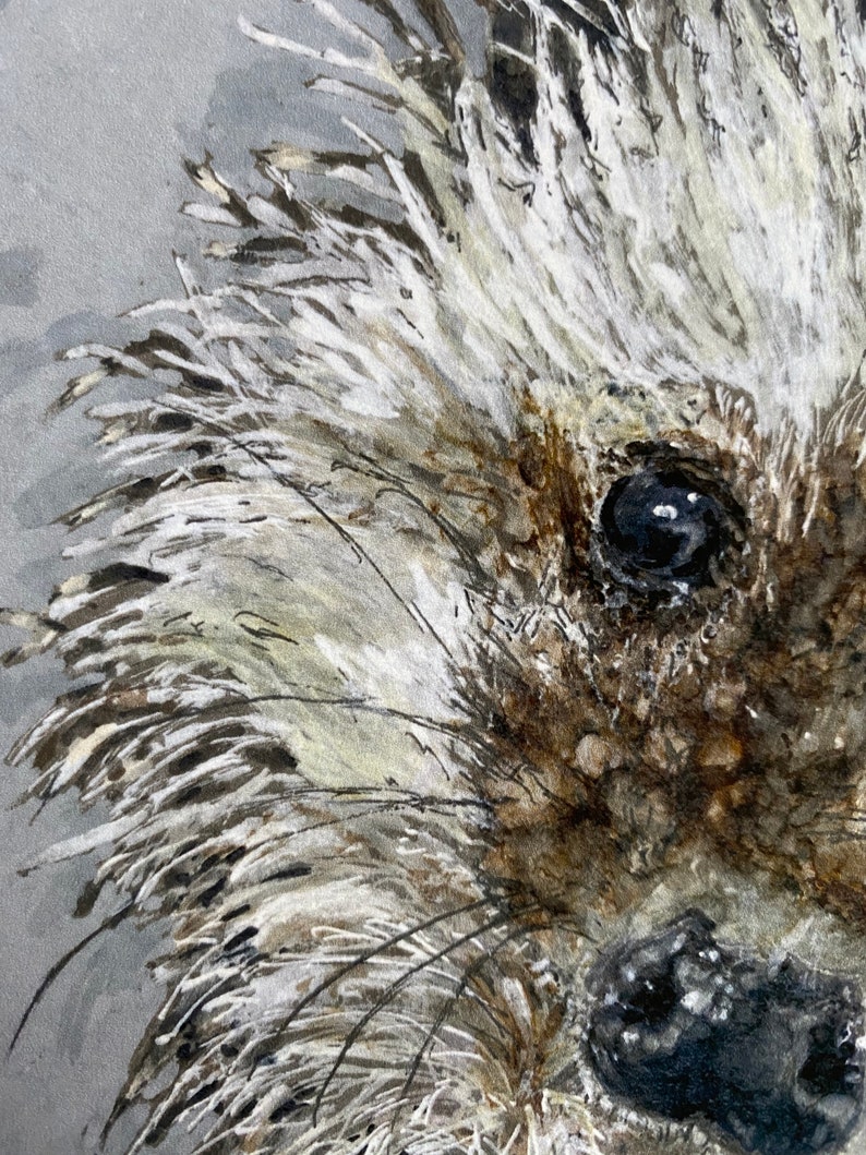 Hedgehog – ‘Soft Centred’ Limited Edition prints and canvas (Various sizes) - Image 4