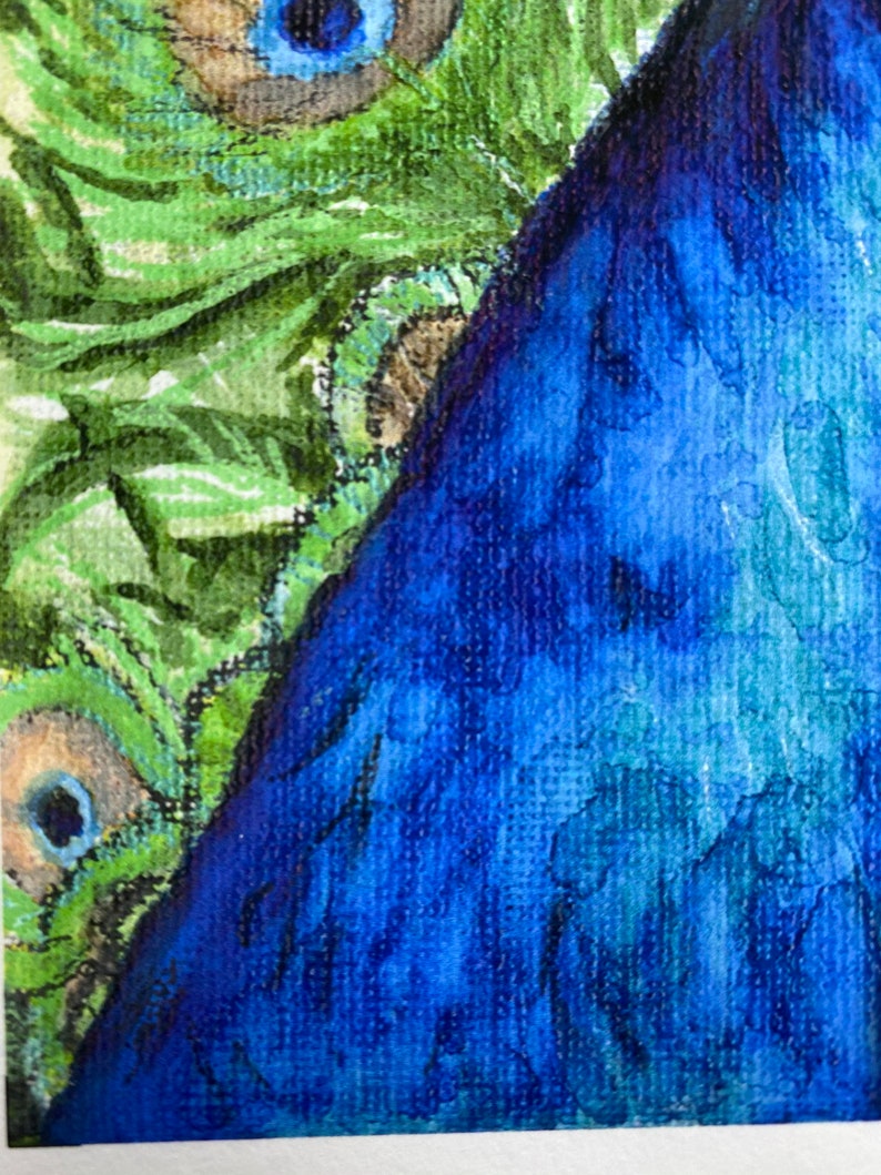 ‘Perfectly Proud’ – Colourful Peacock Print Limited Edition - Image 4