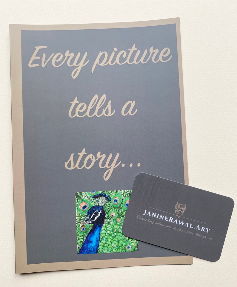 ‘Perfectly Proud’ – Colourful Peacock Print Limited Edition - Image 5