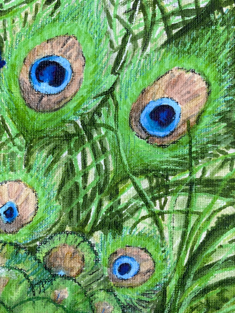 ‘Perfectly Proud’ – Colourful Peacock Print Limited Edition - Image 3